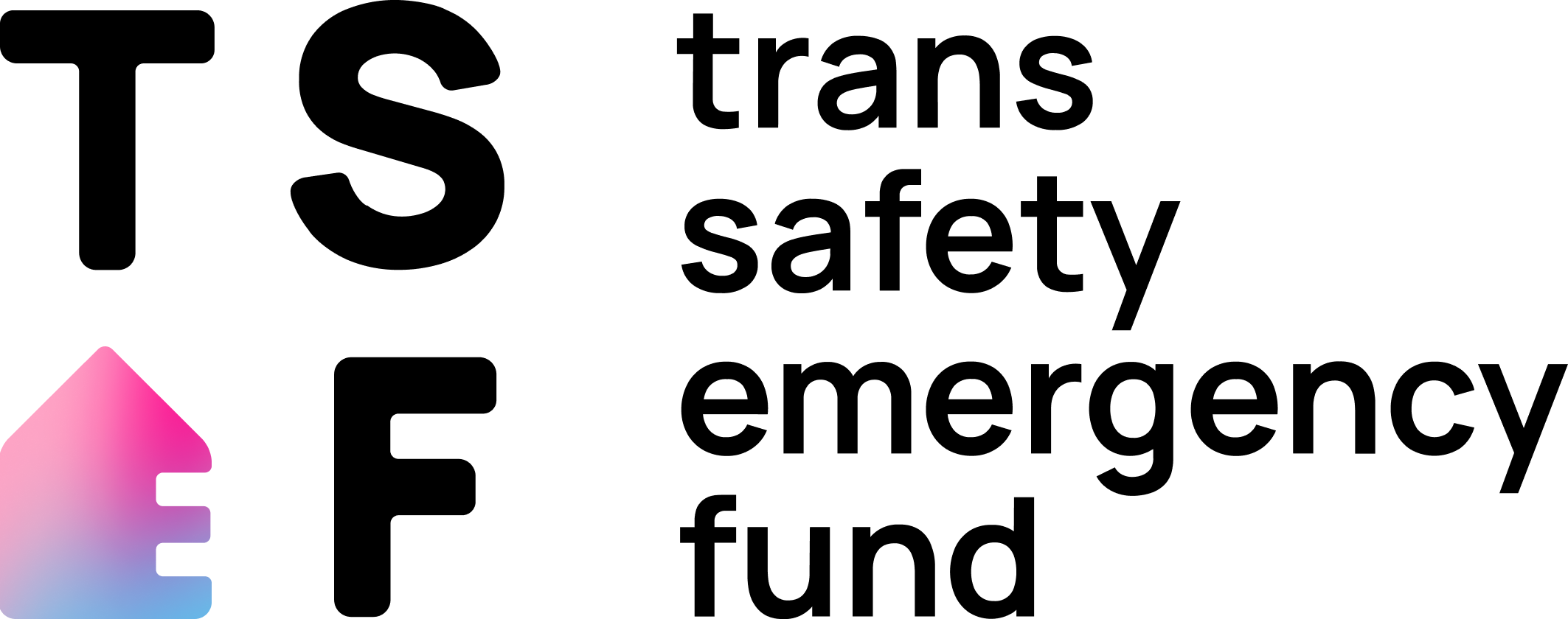 LOGO TSEF